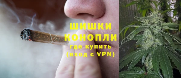 PSILOCYBIN Богородск