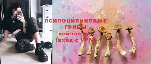 PSILOCYBIN Богородск